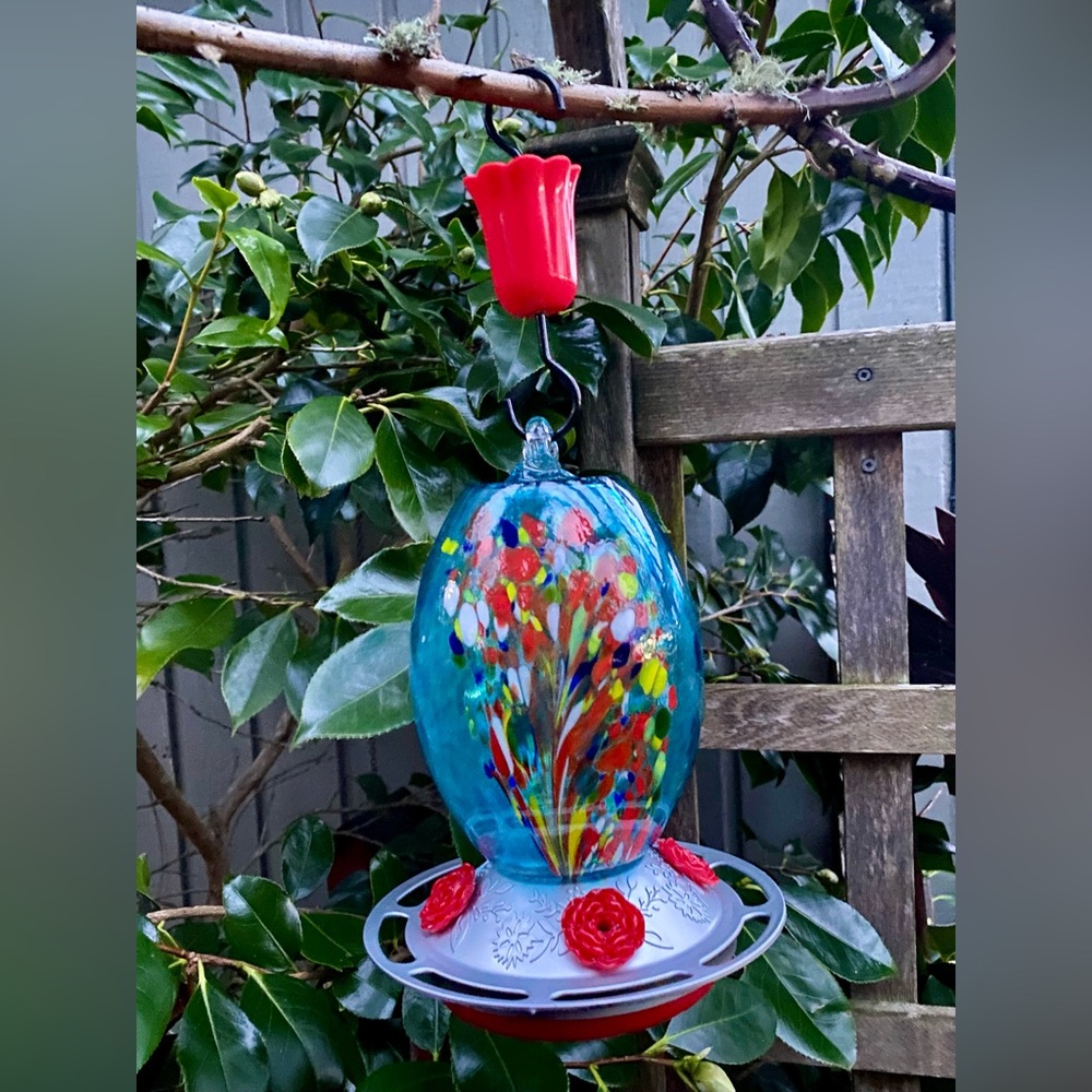 Glass Hummingbird Feeder 27oz Blown Glass Humming Bird - Roses & Ant Moat - Picture 13 of 13